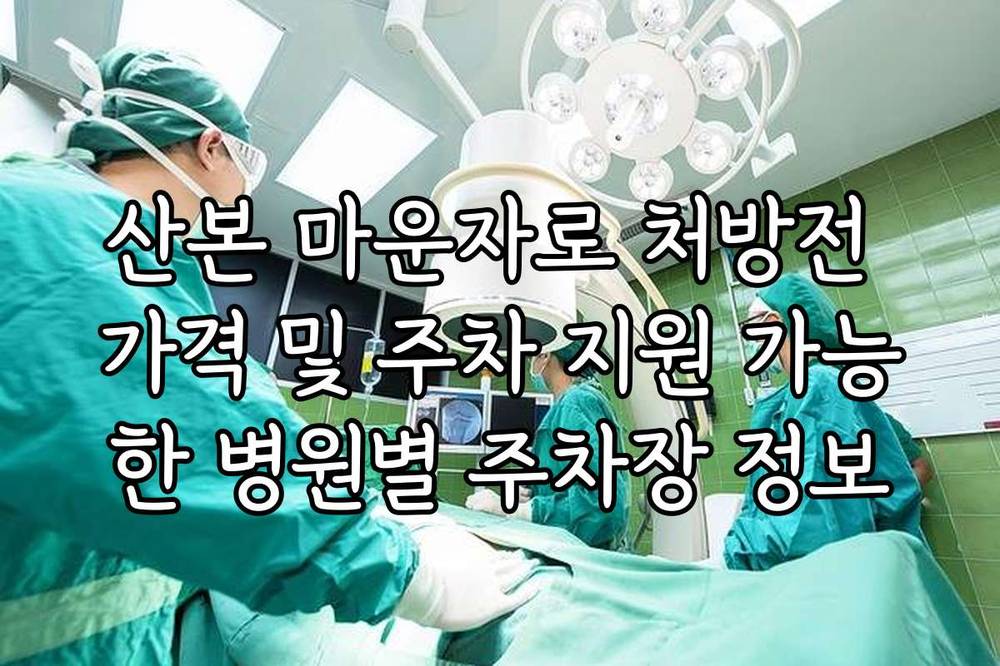 산본 마운자로 처방전 가격 및 주차 지원 가능한 병원별 주차장 정보