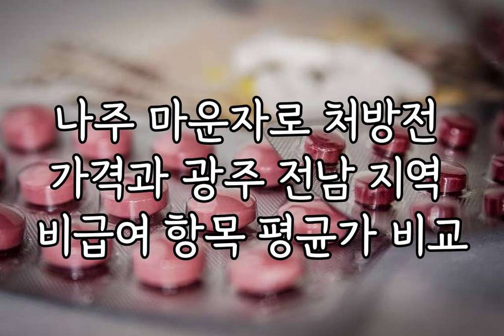 나주 마운자로 처방전 가격과 광주 전남 지역 비급여 항목 평균가 비교