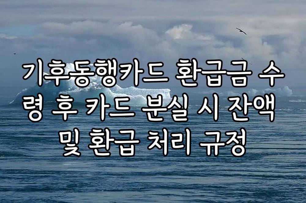 기후동행카드 환급금 수령 후 카드 분실 시 잔액 및 환급 처리 규정