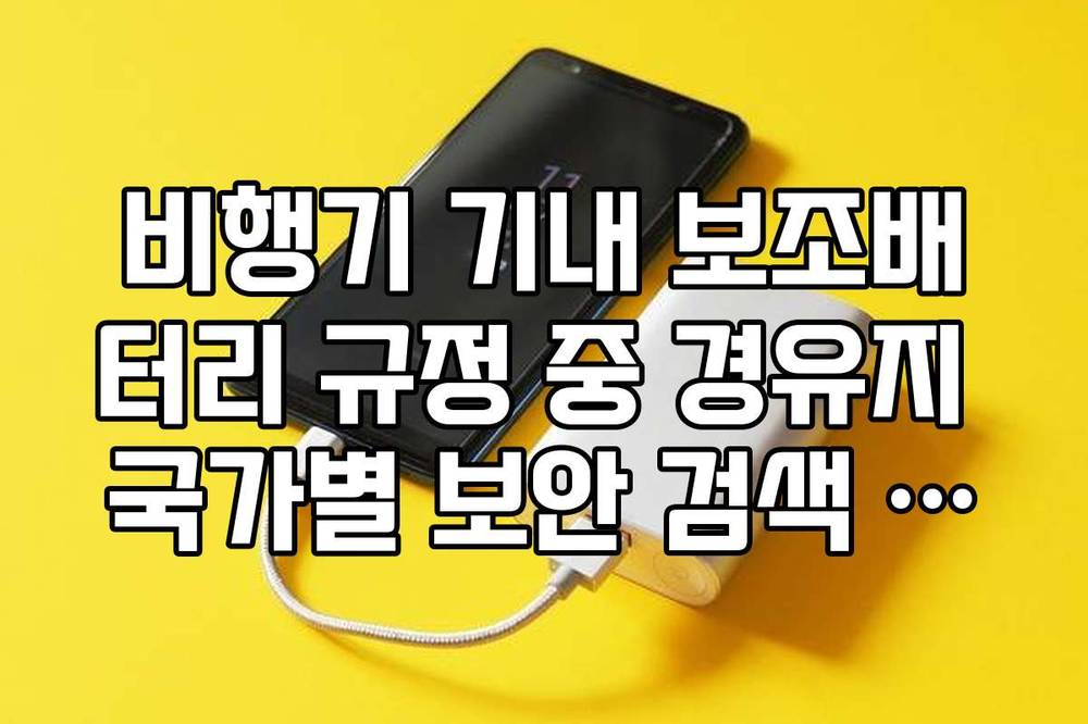 비행기 기내 보조배터리 규정 중 경유지 국가별 보안 검색 차이점 가이드