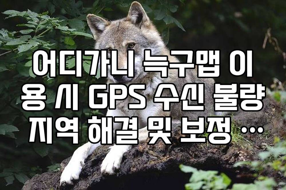 어디가니 늑구맵 이용 시 GPS 수신 불량 지역 해결 및 보정 방법