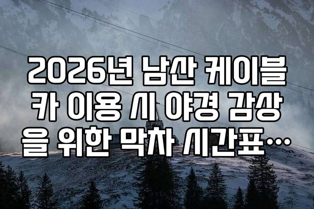 2026년 남산 케이블카 이용 시 야경 감상을 위한 막차 시간표 확인법