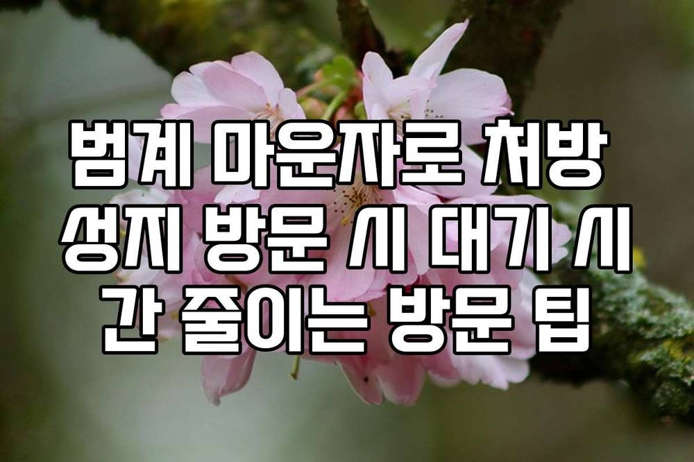 범계 마운자로 처방 성지 방문 시 대기 시간 줄이는 방문 팁