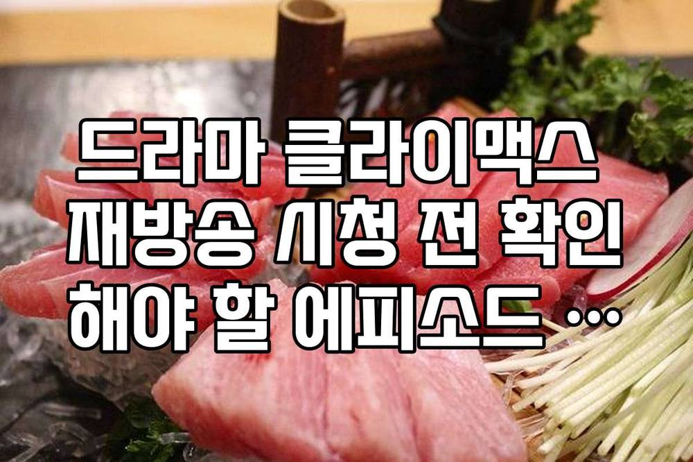 드라마 클라이맥스 재방송 시청 전 확인해야 할 에피소드 가이드