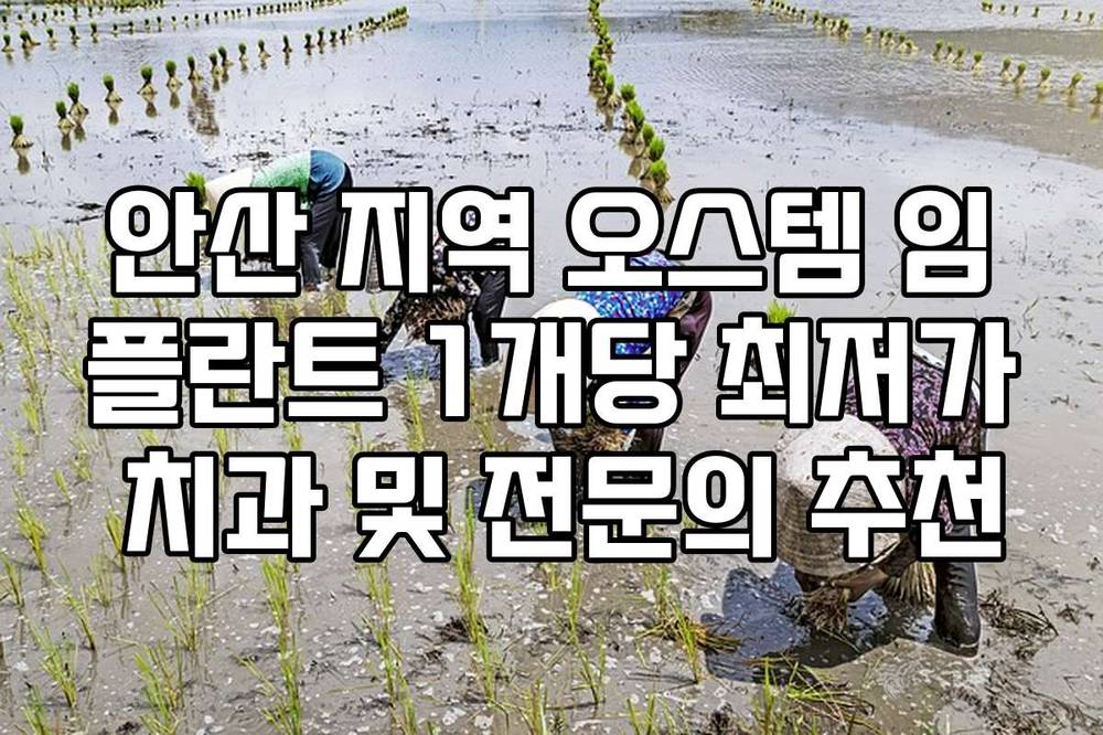 안산 지역 오스템 임플란트 1개당 최저가 치과 및 전문의 추천