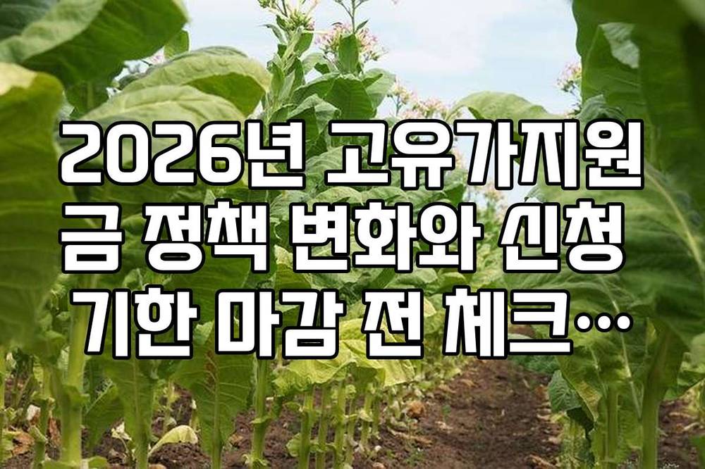 2026년 고유가지원금 정책 변화와 신청 기한 마감 전 체크리스트