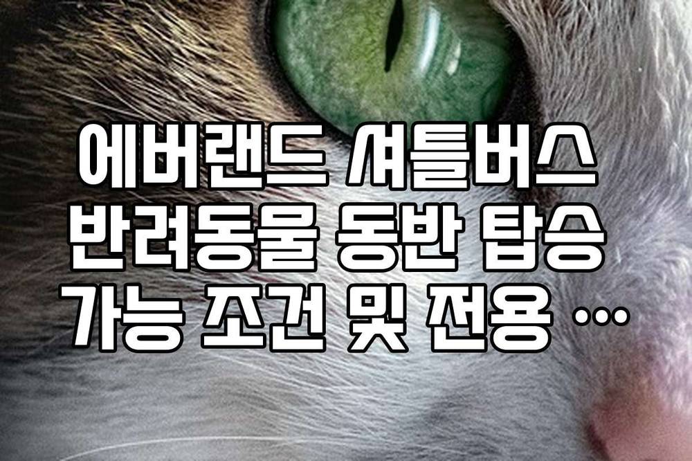 에버랜드 셔틀버스 반려동물 동반 탑승 가능 조건 및 전용 케이지 규정