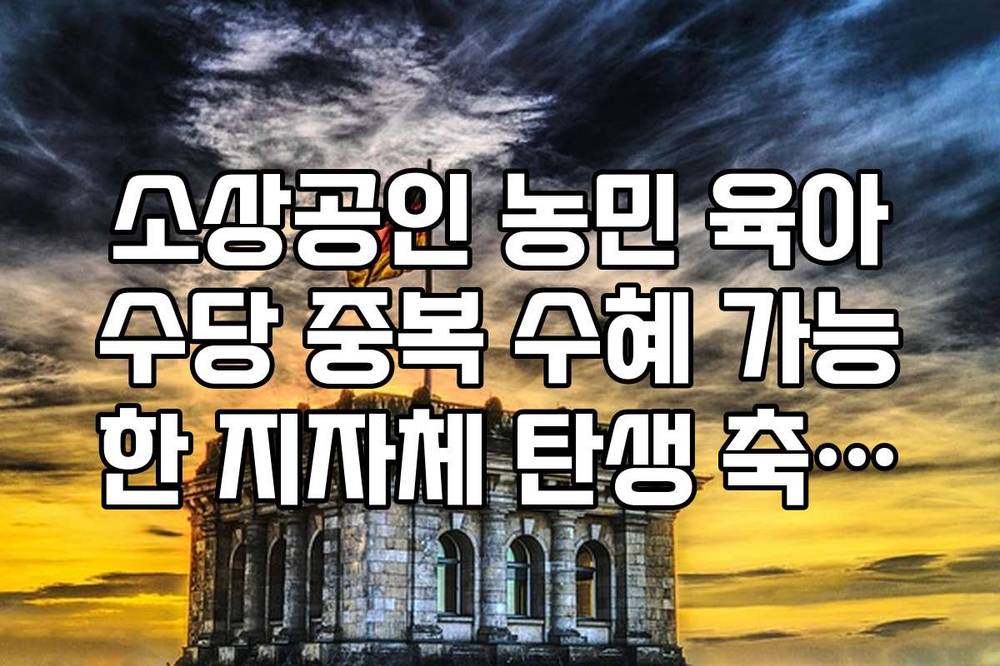 소상공인 농민 육아수당 중복 수혜 가능한 지자체 탄생 축하금 리스트