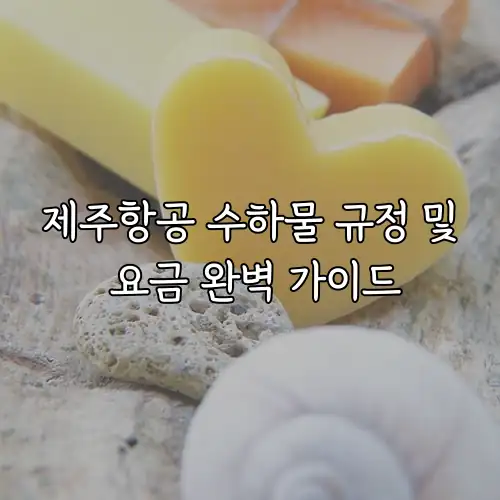 제주항공 수하물 규정 및 요금 완벽 가이드