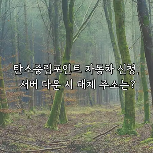 탄소중립포인트 자동차 신청, 서버 다운 시 대체 주소는?