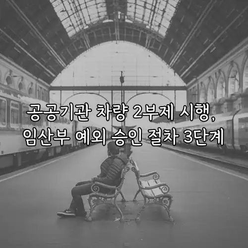 공공기관 차량 2부제 시행, 임산부 예외 승인 절차 3단계