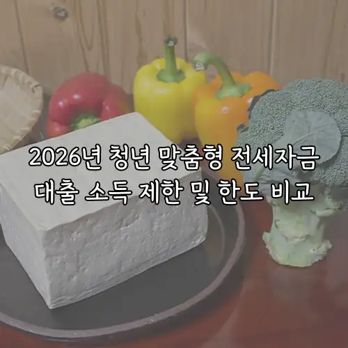 2026년 청년 맞춤형 전세자금대출 소득 제한 및 한도 비교