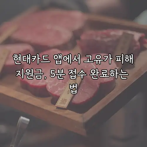 현대카드 앱에서 고유가 피해지원금, 5분 접수 완료하는 법
