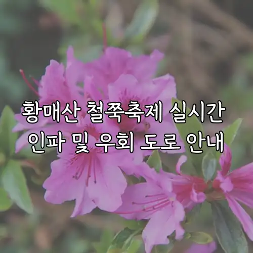 황매산 철쭉축제 실시간 인파 및 우회 도로 안내