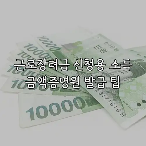근로장려금 신청용 소득금액증명원 발급 팁