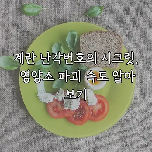 계란 난각번호의 시크릿, 영양소 파괴 속도 알아보기