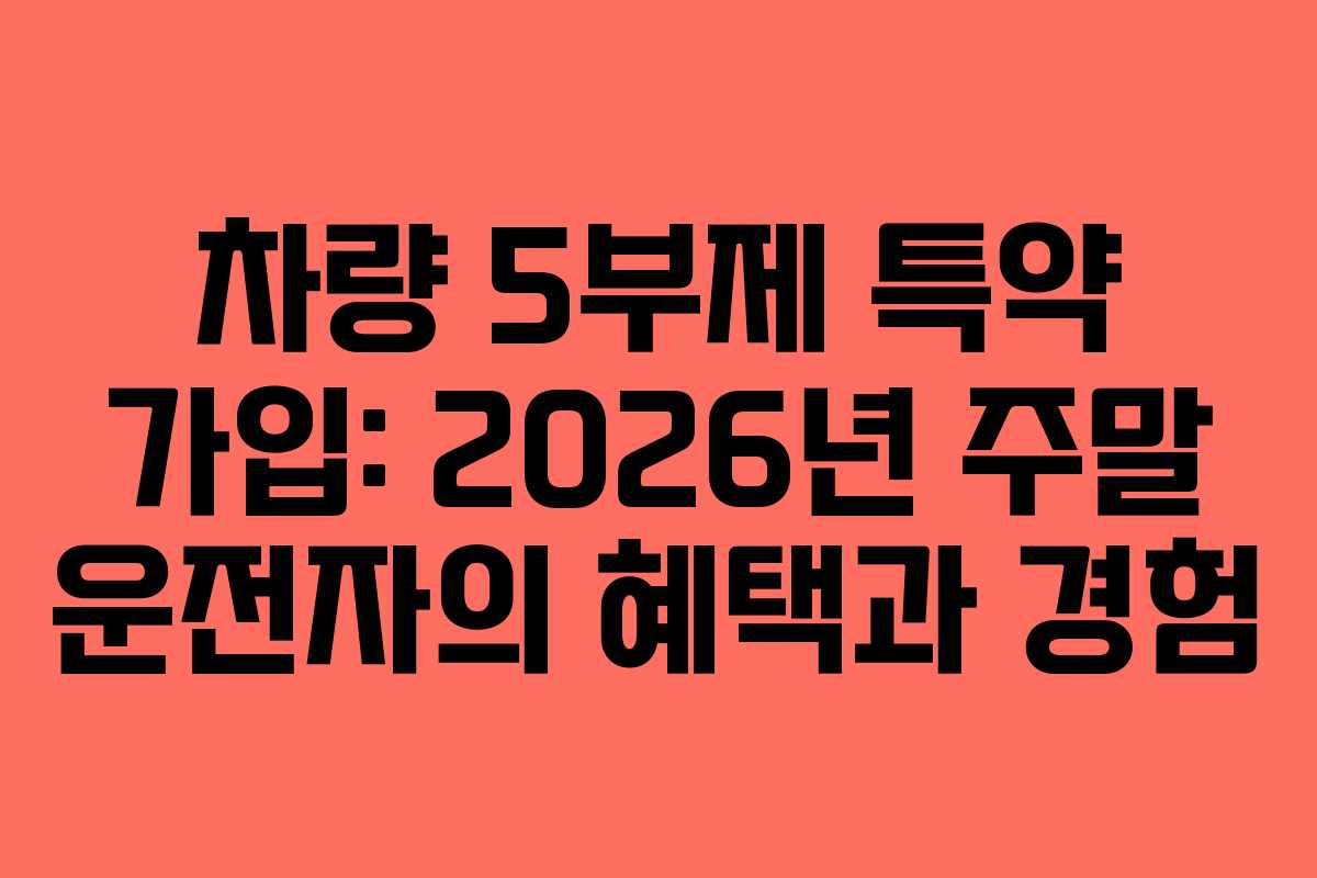 차량 5부제 특약 가입: 2026년 주말 운전자의 혜택과 경험