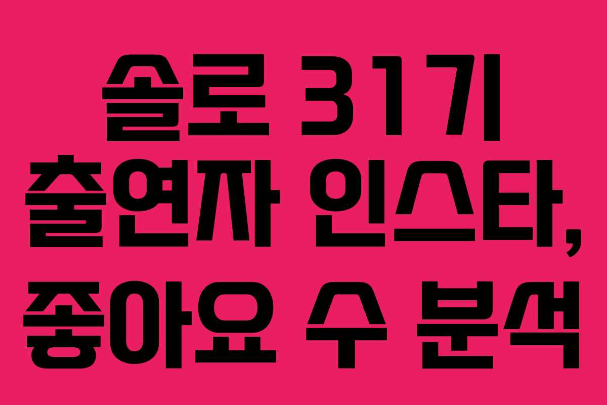 솔로-31기-출연자-인스타,-좋아요-수-분석