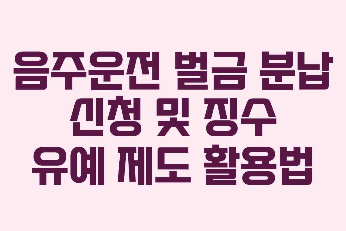 음주운전-벌금-분납-신청-및-징수-유예-제도-활용법