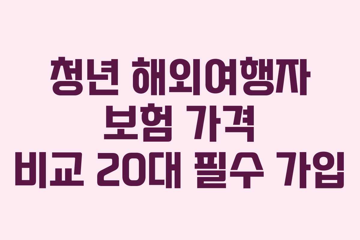청년-해외여행자-보험-가격-비교-20대-필수-가입