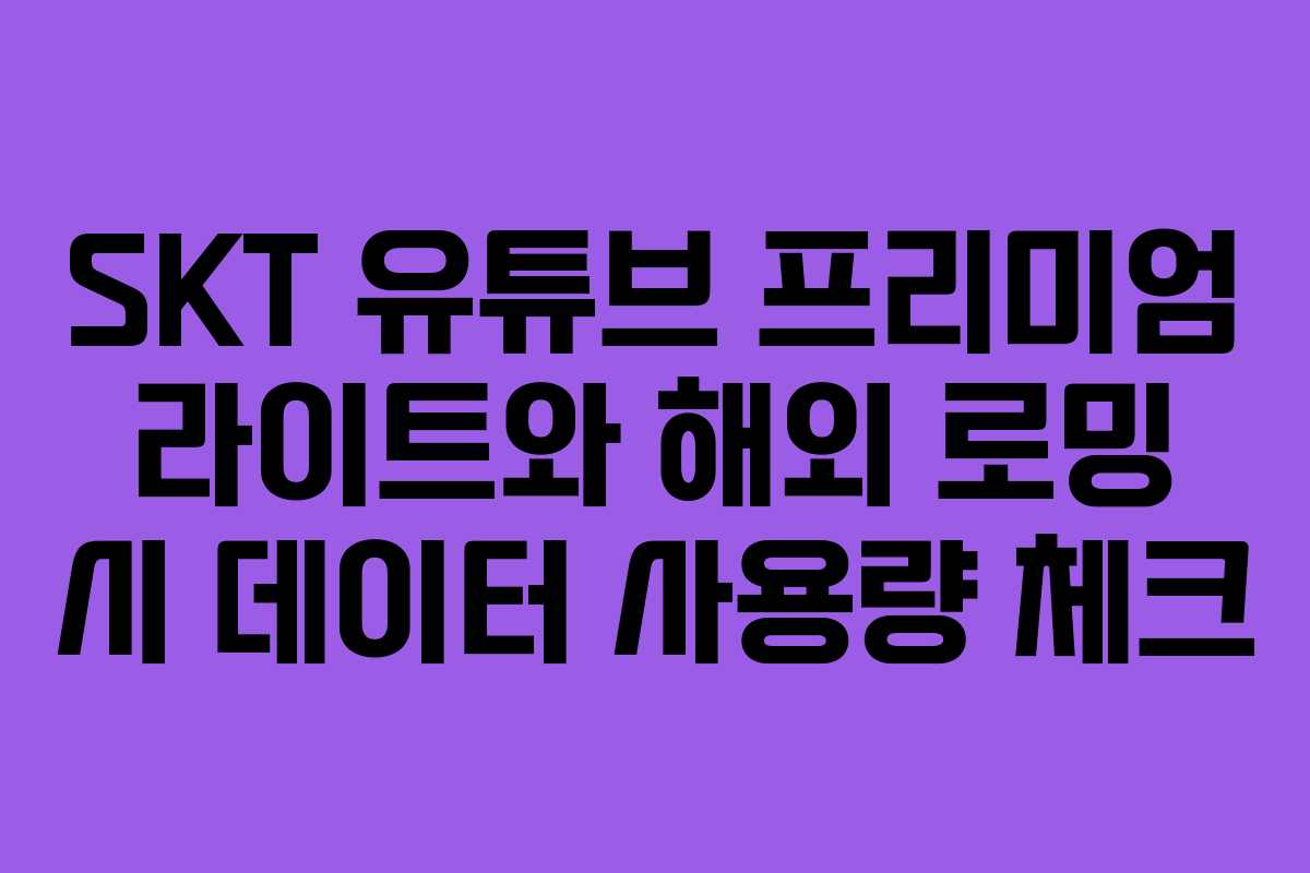 SKT-유튜브-프리미엄-라이트와-해외-로밍-시-데이터-사용량-체크
