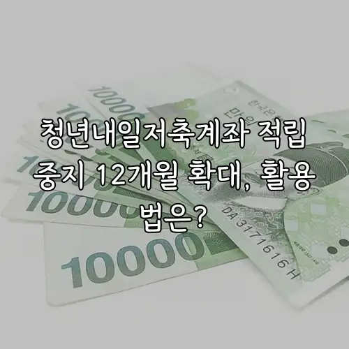 청년내일저축계좌 적립중지 12개월 확대, 활용법은?