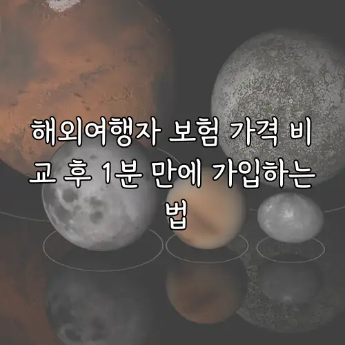 해외여행자 보험 가격 비교 후 1분 만에 가입하는 법