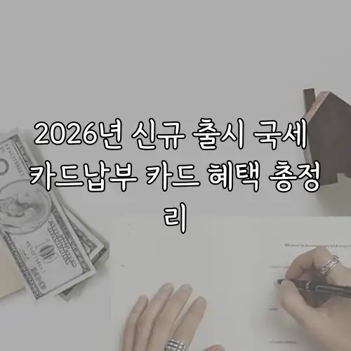2026년 신규 출시 국세 카드납부 카드 혜택 총정리