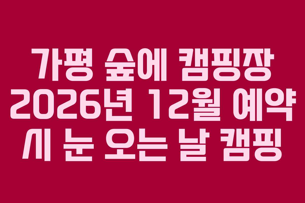 가평-숲에-캠핑장-2026년-12월-예약-시-눈-오는-날-캠핑