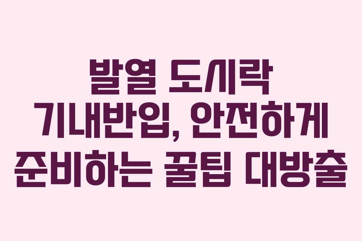 발열-도시락-기내반입,-안전하게-준비하는-꿀팁-대방출