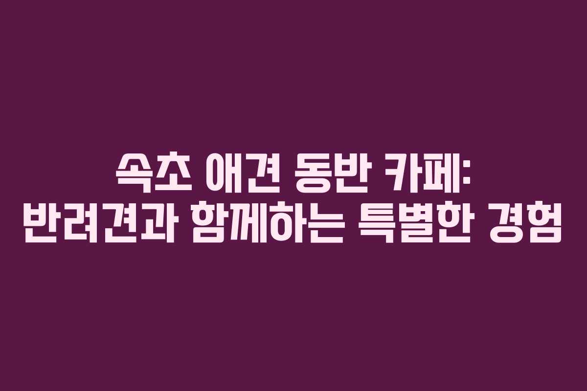 속초-애견-동반-카페-반려견과-함께하는-특별한-경험