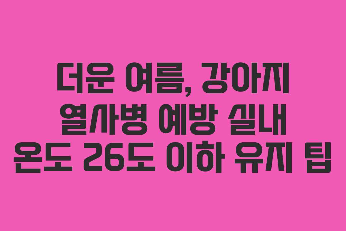 더운-여름,-강아지-열사병-예방-실내-온도-26도-이하-유지-팁