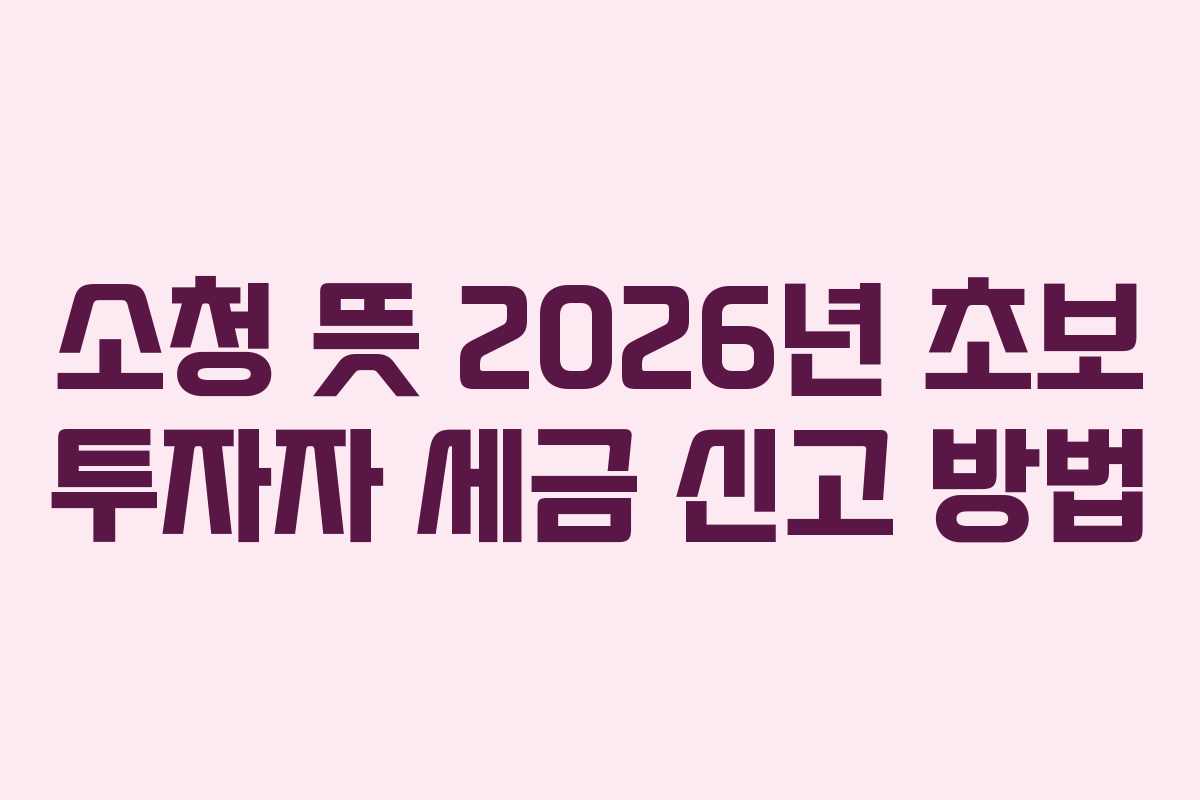 소청-뜻-2026년-초보-투자자-세금-신고-방법
